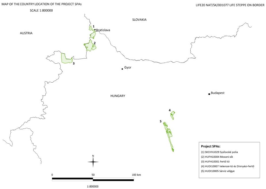 Long-term conservation of Great Bustard and Red-footed Falcon in border region of Hungary and Slovakia