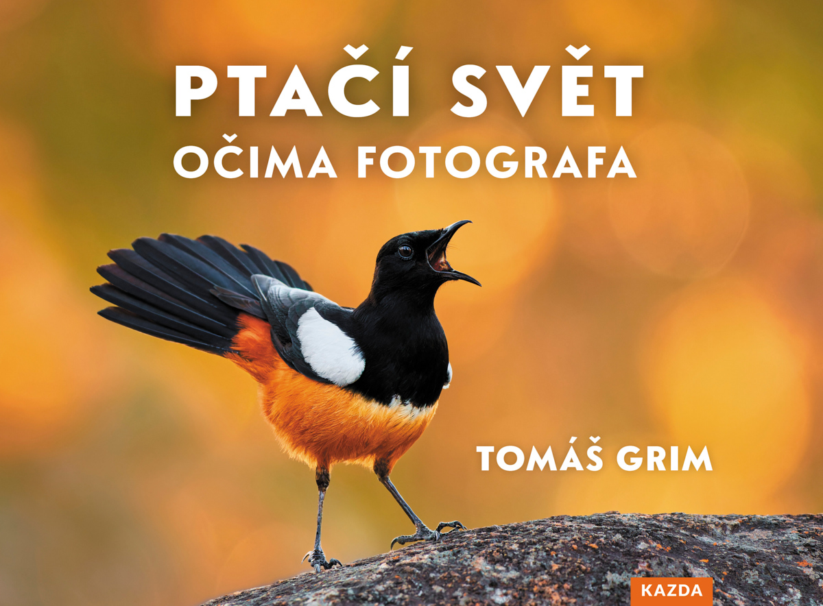 Kniha Ptačí svět očima fotografa