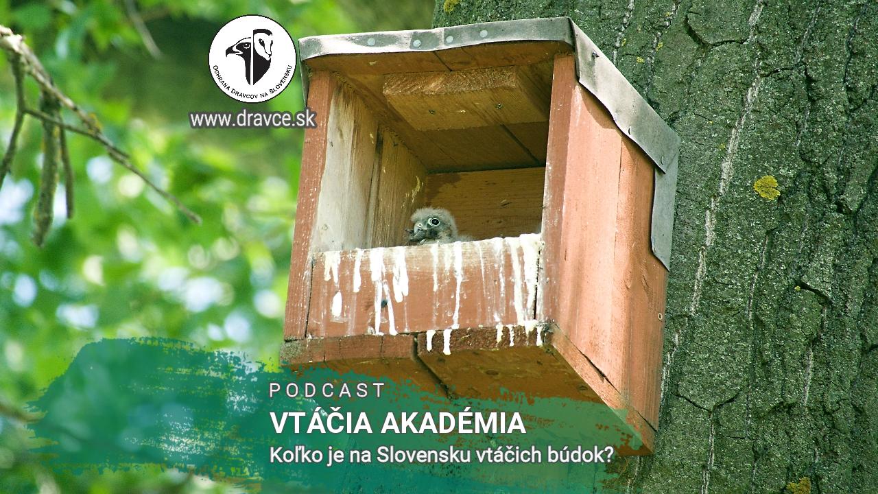 Vtáčia akadémia: Koľko je na Slovensku vtáčích búdok?