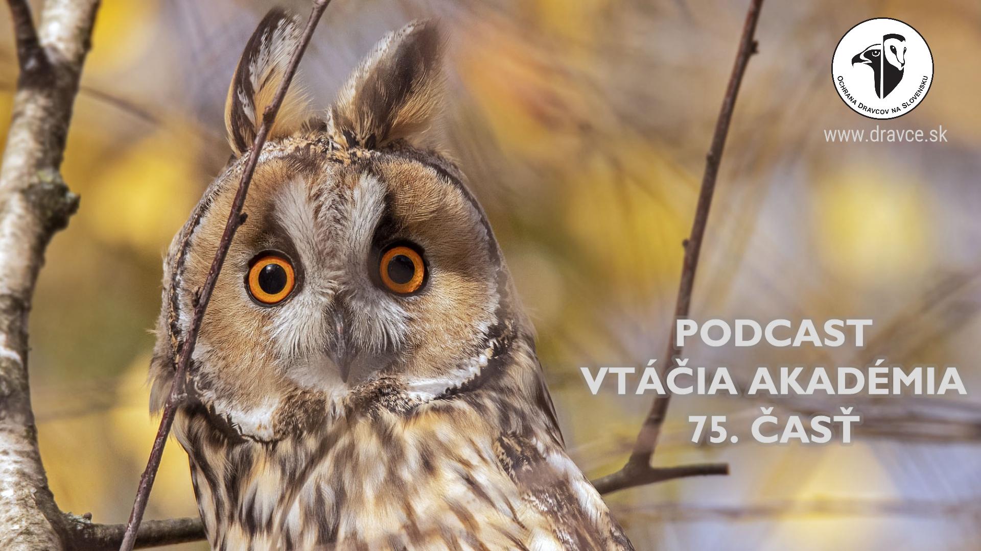 Vtáčia akadémia: Má 75 rokov a opäť hniezdi!
