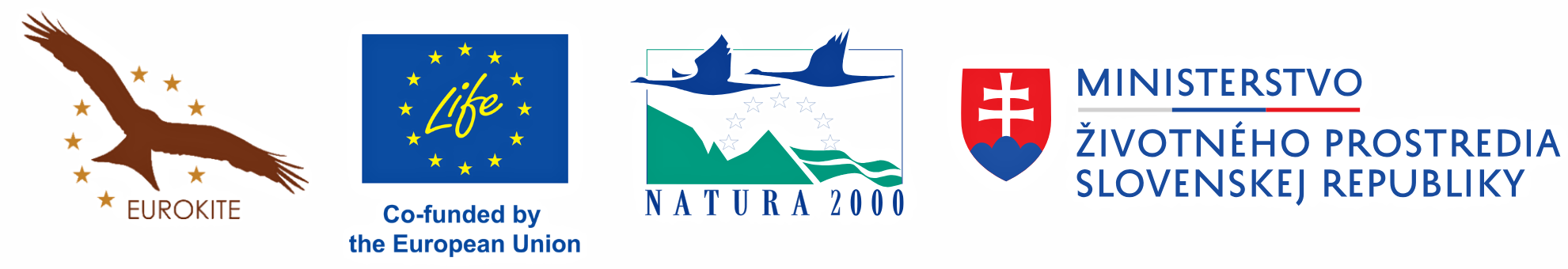 Logo Eurokite