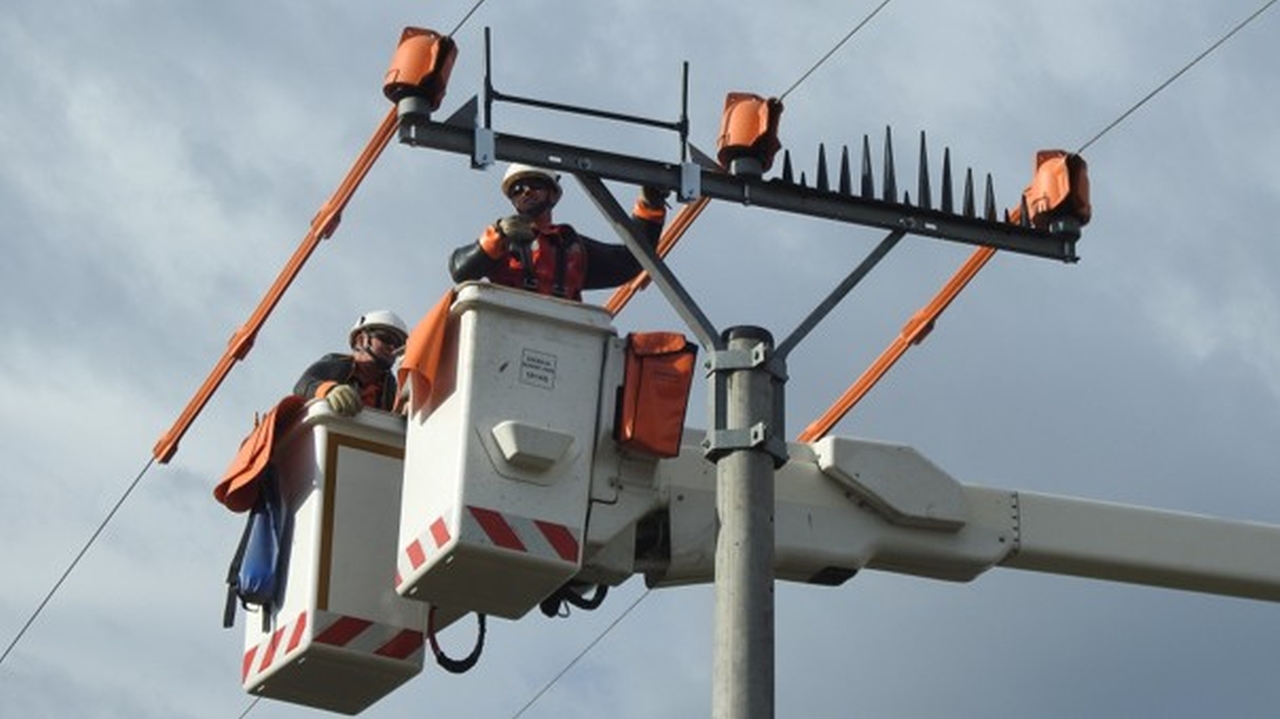 Ekologizácia stĺpov 22 kV vedení zdroj Marek Gális RPS