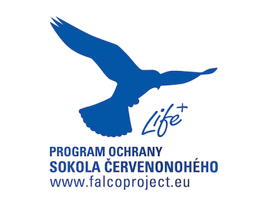 falcoproject logo